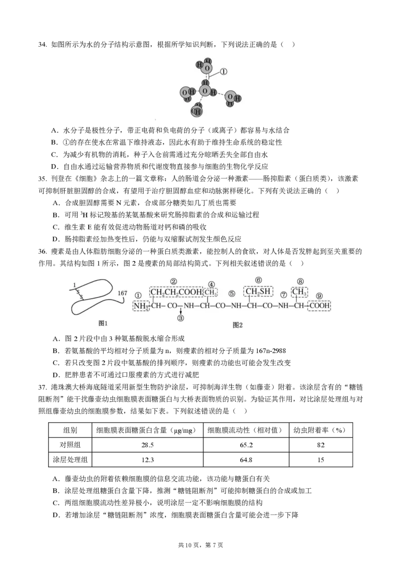 成都市第七中学2025-2026学年高一上学期11月半期考试生物_2025年11月高一试卷_251122四川省成都市第七中学2025-2026学年高一上学期11月半期考试（全）