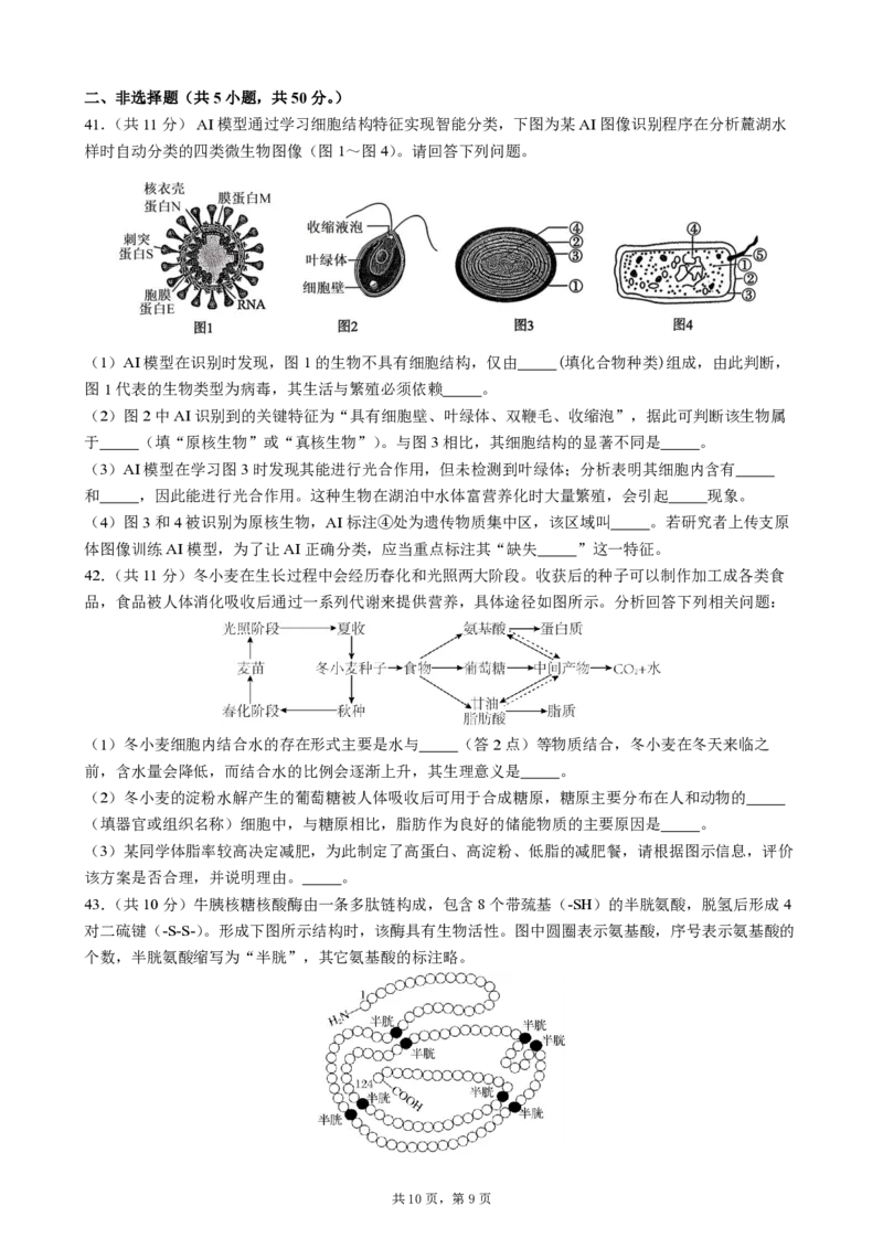 成都市第七中学2025-2026学年高一上学期11月半期考试生物_2025年11月高一试卷_251122四川省成都市第七中学2025-2026学年高一上学期11月半期考试（全）