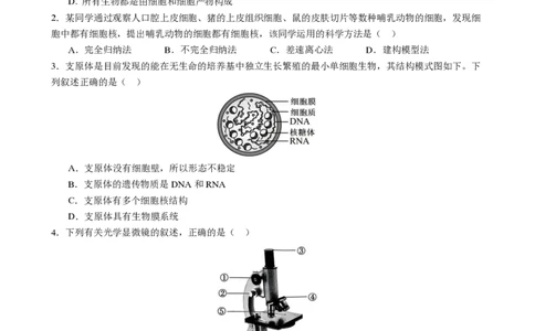 成都市第七中学2025-2026学年高一上学期11月半期考试生物_2025年11月高一试卷_251122四川省成都市第七中学2025-2026学年高一上学期11月半期考试（全）