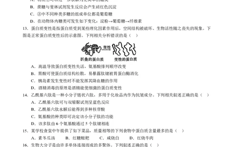 成都市第七中学2025-2026学年高一上学期11月半期考试生物_2025年11月高一试卷_251122四川省成都市第七中学2025-2026学年高一上学期11月半期考试（全）
