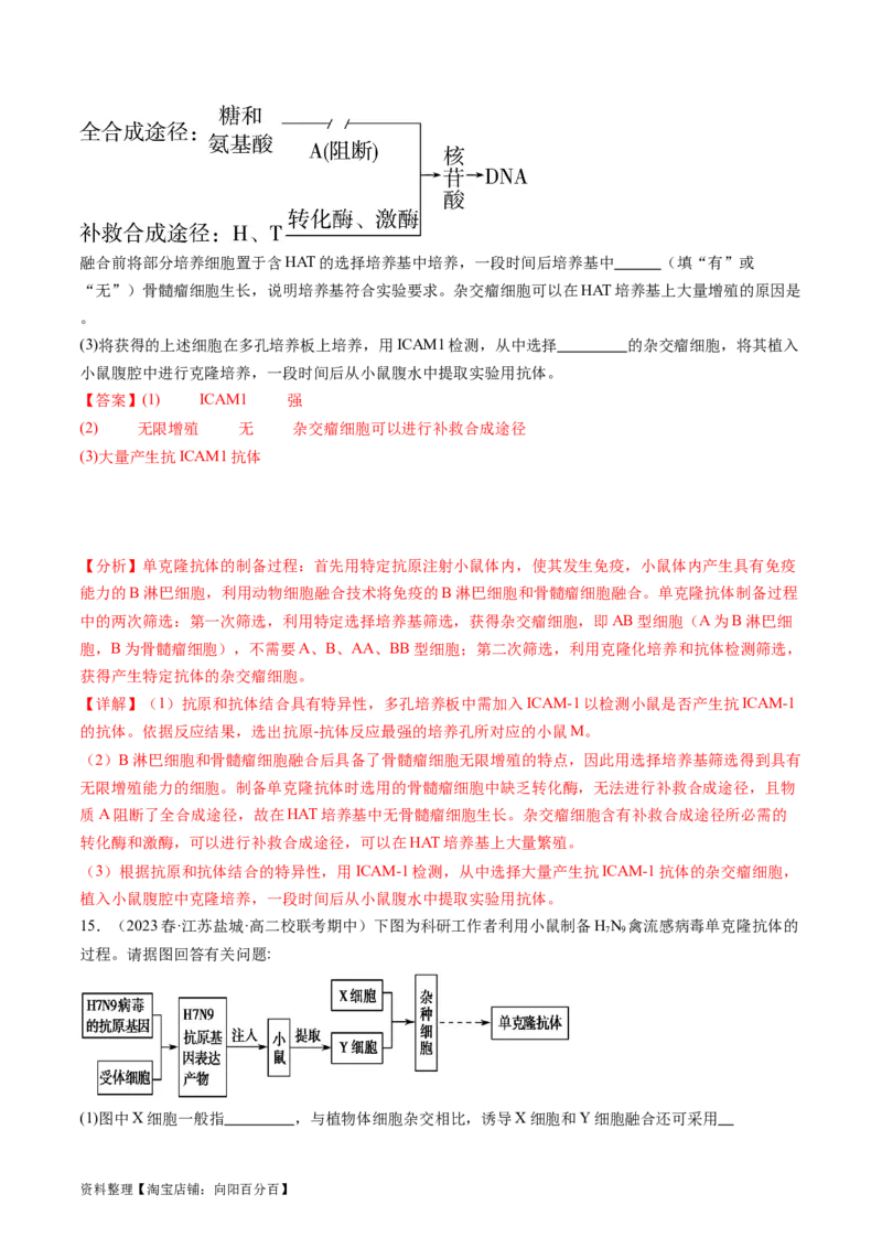 第41讲动物细胞工程（练习）（解析版）_新高考复习资料_2024年新高考复习资料_一轮复习资料_完2024年高考生物一轮复习讲练测(课件+讲义+练习)（新高考）_讲义+练习