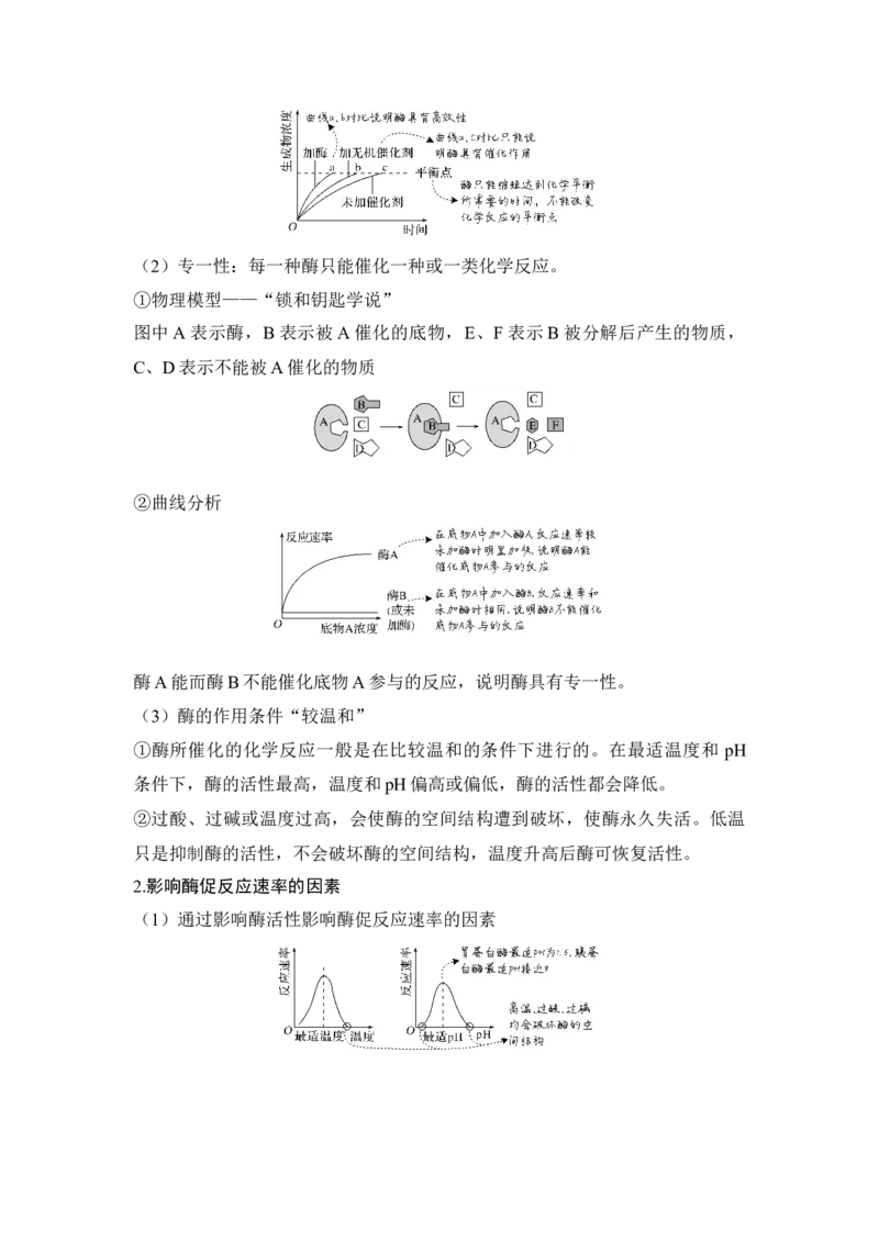 第7讲ATP和酶_通用版（老高考）复习资料_2023年复习资料_一轮复习_2023年高考生物一轮复习讲义+课件（全国版）_2023年高考生物一轮复习讲义（全国版）_赠补充习题