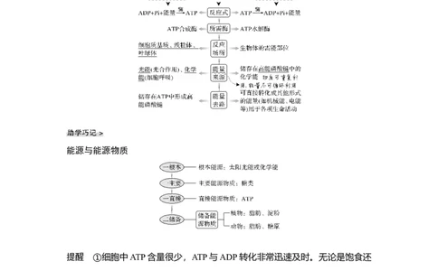 第7讲ATP和酶_通用版（老高考）复习资料_2023年复习资料_一轮复习_2023年高考生物一轮复习讲义+课件（全国版）_2023年高考生物一轮复习讲义（全国版）_赠补充习题