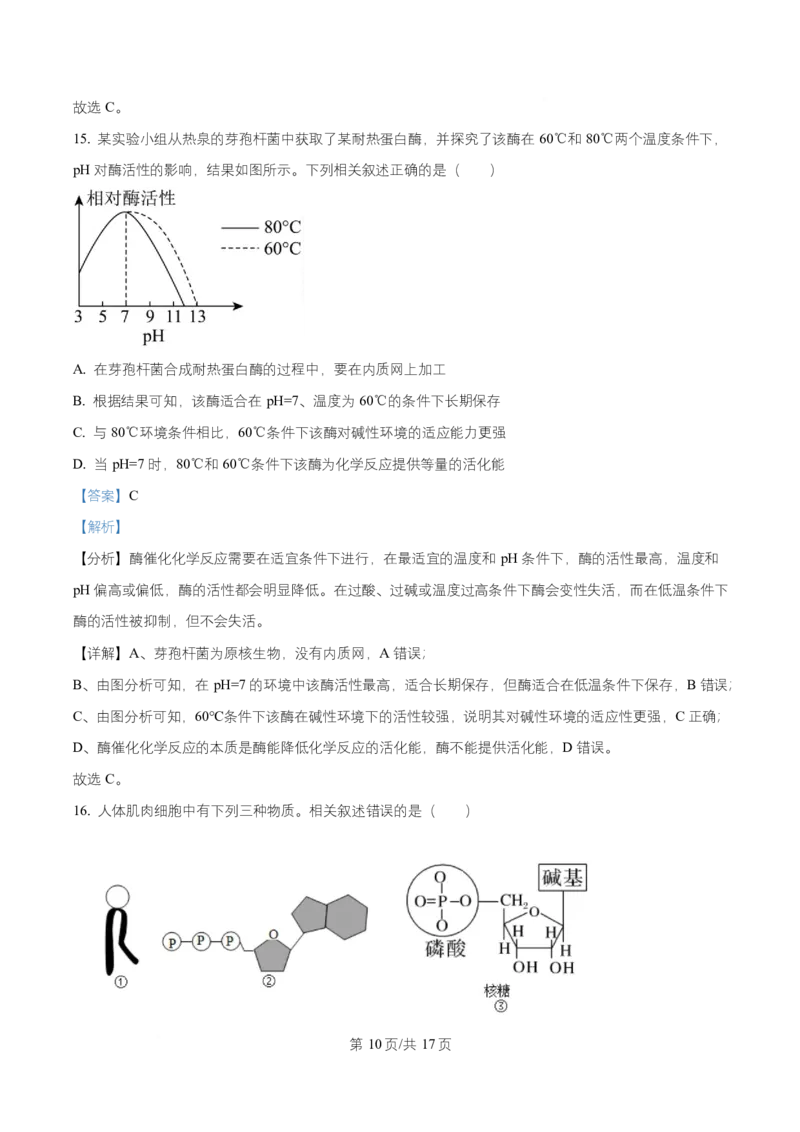 湖北省随州市随县一中、曾都一中实验班联考2025-2026学年高一上学期12月月考生物试题Word版含解析_2025年12月高一试卷