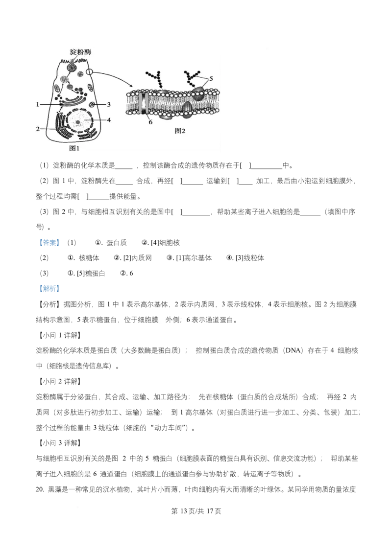 湖北省随州市随县一中、曾都一中实验班联考2025-2026学年高一上学期12月月考生物试题Word版含解析_2025年12月高一试卷