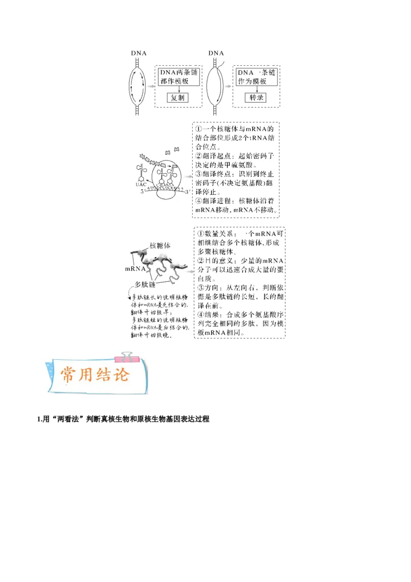 考向13基因的表达-备战2023年高考生物一轮复习考点微专题（全国通用）（原卷版）_通用版（老高考）复习资料_2023年复习资料_一轮复习