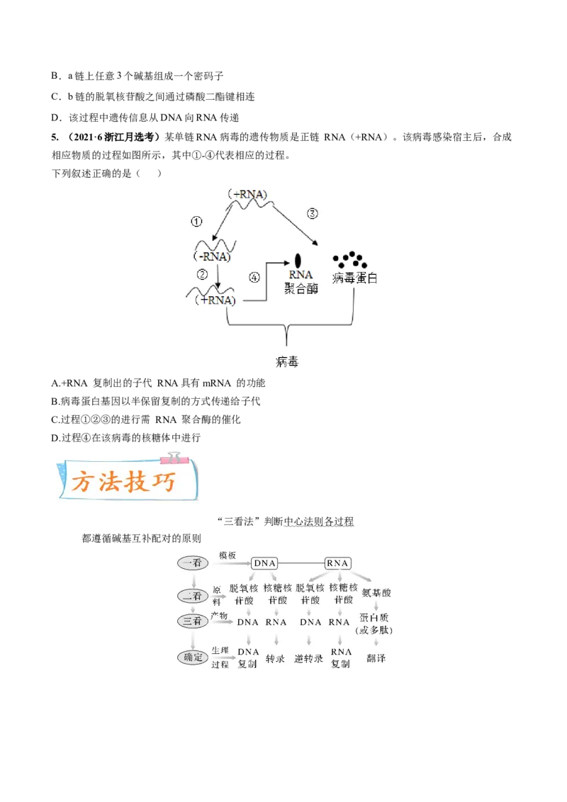 考向13基因的表达-备战2023年高考生物一轮复习考点微专题（全国通用）（原卷版）_通用版（老高考）复习资料_2023年复习资料_一轮复习