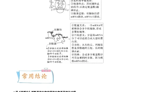 考向13基因的表达-备战2023年高考生物一轮复习考点微专题（全国通用）（原卷版）_通用版（老高考）复习资料_2023年复习资料_一轮复习