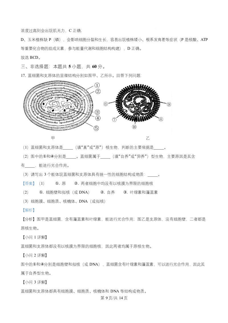 湖南省多校联考2025-2026学年高一上学期10月月考生物试题Word版含解析_2025年10月高一试卷_251028湖南省多校联考2025-2026学年高一上学期10月月考