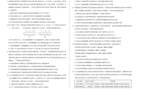 生物学人教专版天一大联考&middot;2025-2026学年高二年级阶段性测试（一）_2025年11月高一试卷_251107天一大联考&middot;河南省2025-2026学年高二年级阶段性测试（一）（全）
