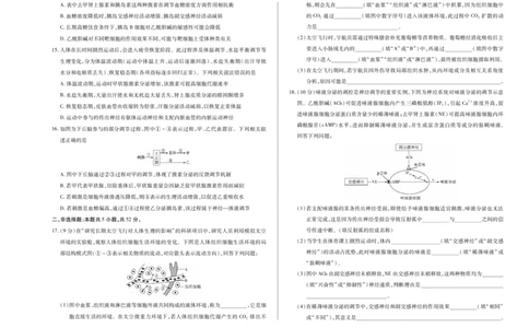 生物学人教专版天一大联考&middot;2025-2026学年高二年级阶段性测试（一）_2025年11月高一试卷_251107天一大联考&middot;河南省2025-2026学年高二年级阶段性测试（一）（全）