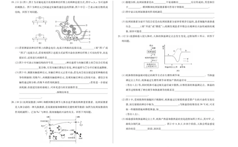 生物学人教专版天一大联考&middot;2025-2026学年高二年级阶段性测试（一）_2025年11月高一试卷_251107天一大联考&middot;河南省2025-2026学年高二年级阶段性测试（一）（全）