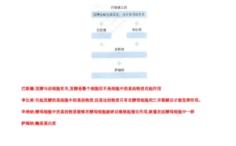 第五章细胞的能量供应和利用-查漏补缺2023年高考生物一轮复习教材必背细节与旁栏思考梳理汇总（新教材）（带答案）_新高考复习资料_2023年新高考复习资料_一轮复习