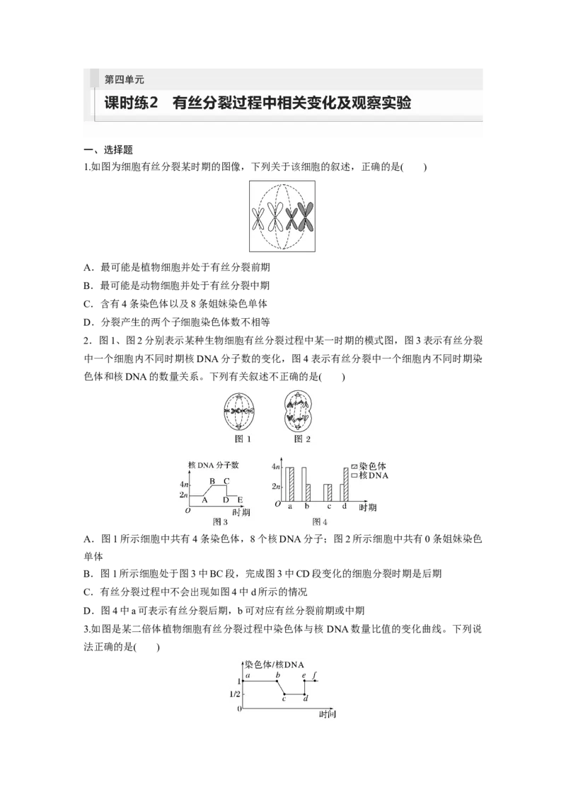 第4单元　课时练2　有丝分裂过程中相关变化及观察实验_新高考复习资料_2024年新高考复习资料_一轮复习资料_完2024生物步步高大一轮复习（课件+讲义）_学生版在此文件夹