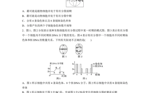 第4单元　课时练2　有丝分裂过程中相关变化及观察实验_新高考复习资料_2024年新高考复习资料_一轮复习资料_完2024生物步步高大一轮复习（课件+讲义）_学生版在此文件夹