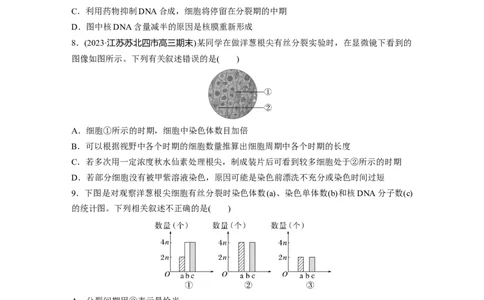 第4单元　课时练2　有丝分裂过程中相关变化及观察实验_新高考复习资料_2024年新高考复习资料_一轮复习资料_完2024生物步步高大一轮复习（课件+讲义）_学生版在此文件夹
