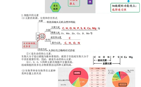 第2讲细胞中的元素和化合物（讲义）（学生版）_新高考复习资料_2024年新高考复习资料_一轮复习资料_完2024年高考生物一轮复习讲练测(课件+讲义+练习)（新高考）_讲义+练习