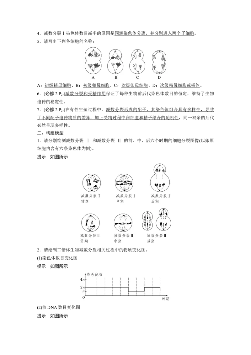 第四单元　第21课时　减数分裂和受精作用_2025年新高考资料_一轮复习_2025大一轮复习讲义+课件（完结）_2025大一轮复习讲义生物教师用书Word版文档整书_配套Word版文档第三~六单元
