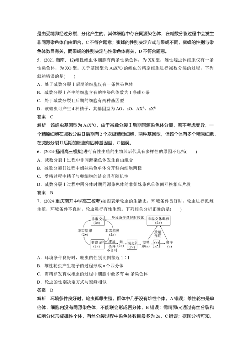 第四单元　第21课时　减数分裂和受精作用_2025年新高考资料_一轮复习_2025大一轮复习讲义+课件（完结）_2025大一轮复习讲义生物教师用书Word版文档整书_配套Word版文档第三~六单元
