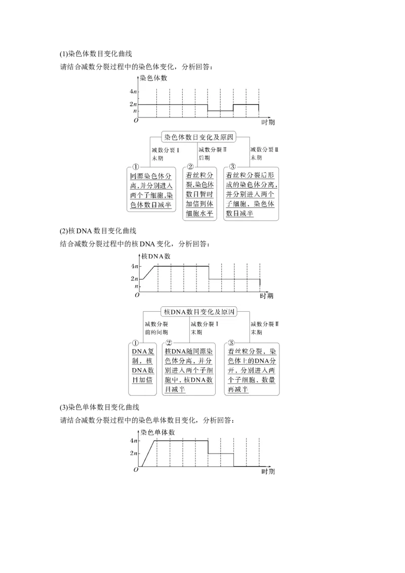 第四单元　第21课时　减数分裂和受精作用_2025年新高考资料_一轮复习_2025大一轮复习讲义+课件（完结）_2025大一轮复习讲义生物教师用书Word版文档整书_配套Word版文档第三~六单元