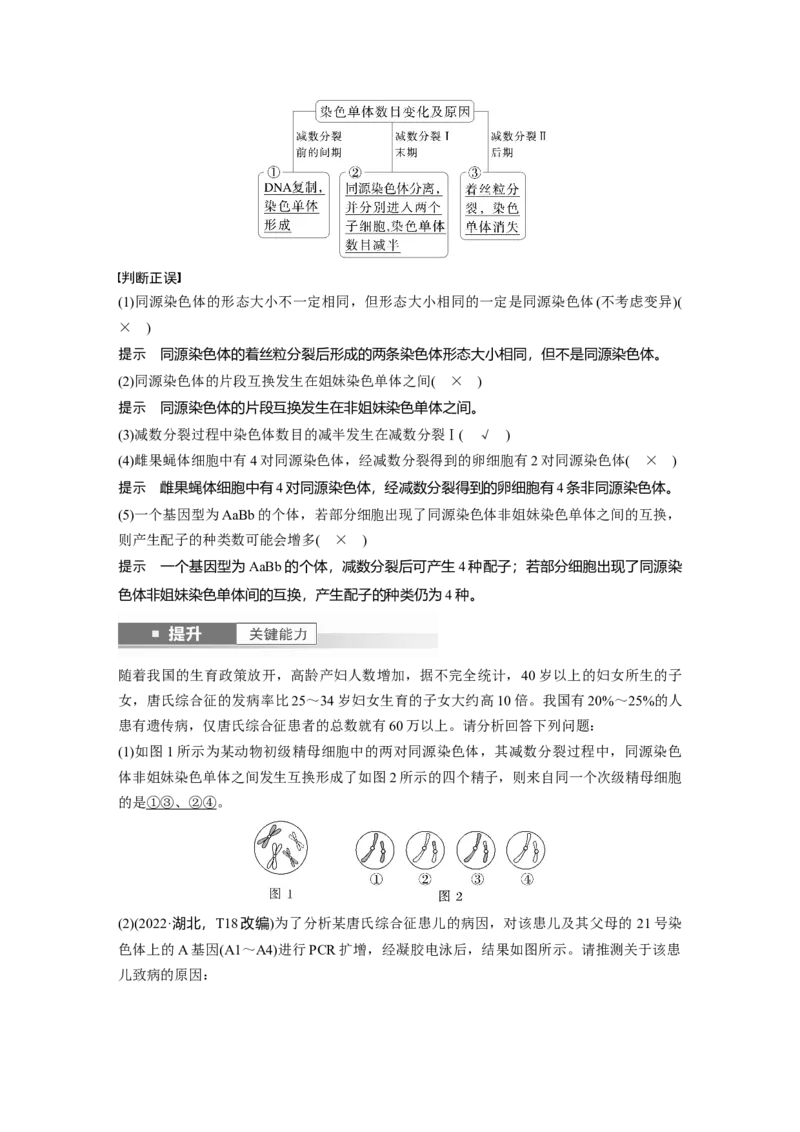 第四单元　第21课时　减数分裂和受精作用_2025年新高考资料_一轮复习_2025大一轮复习讲义+课件（完结）_2025大一轮复习讲义生物教师用书Word版文档整书_配套Word版文档第三~六单元