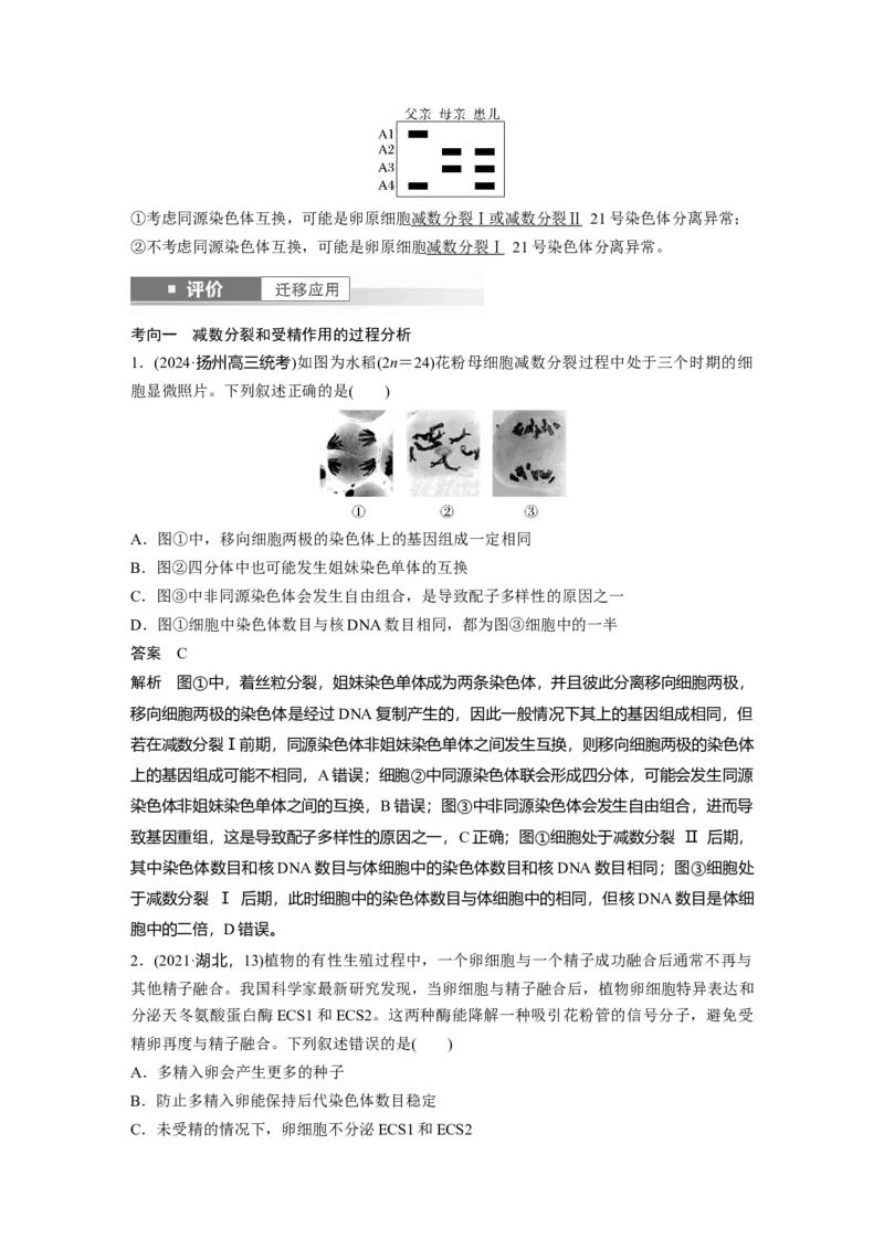第四单元　第21课时　减数分裂和受精作用_2025年新高考资料_一轮复习_2025大一轮复习讲义+课件（完结）_2025大一轮复习讲义生物教师用书Word版文档整书_配套Word版文档第三~六单元