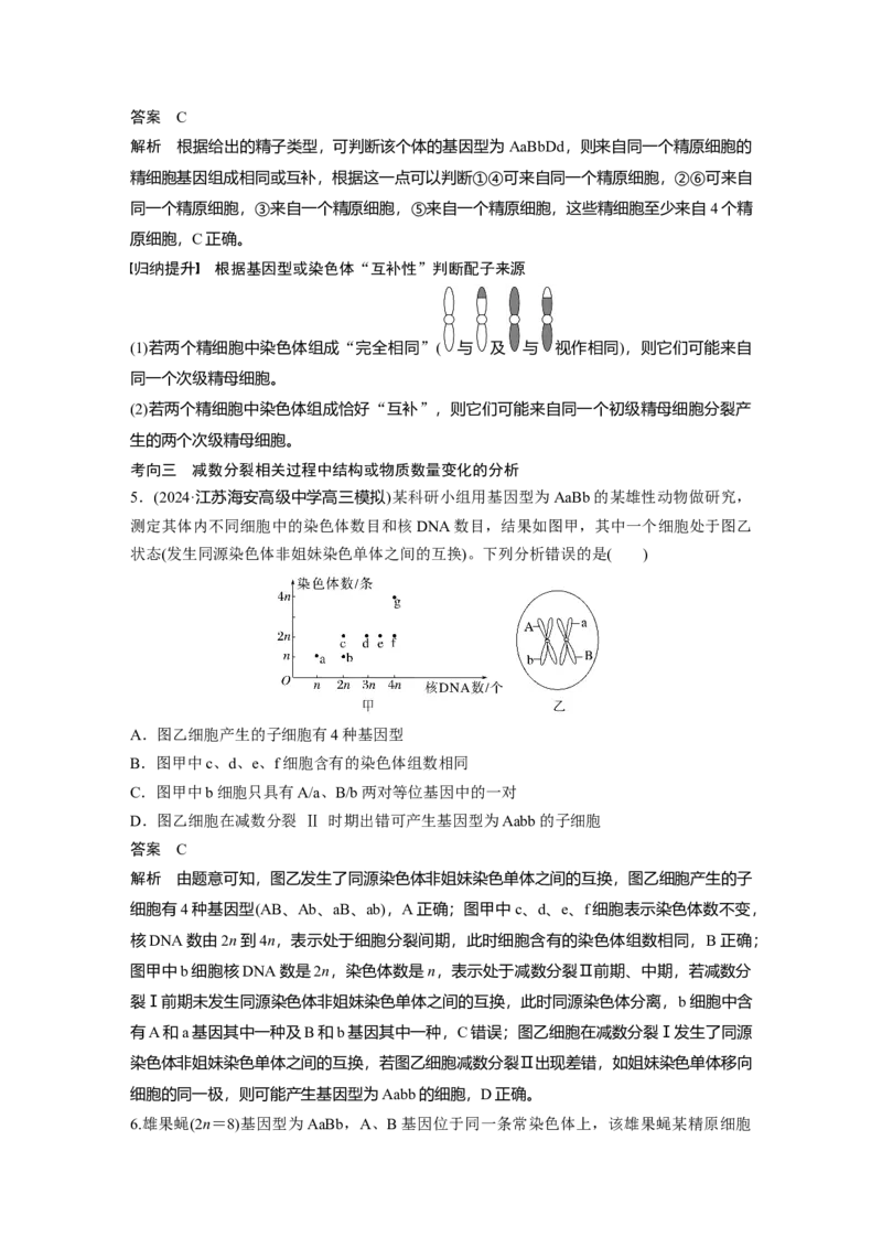 第四单元　第21课时　减数分裂和受精作用_2025年新高考资料_一轮复习_2025大一轮复习讲义+课件（完结）_2025大一轮复习讲义生物教师用书Word版文档整书_配套Word版文档第三~六单元
