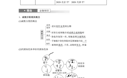 第四单元　第21课时　减数分裂和受精作用_2025年新高考资料_一轮复习_2025大一轮复习讲义+课件（完结）_2025大一轮复习讲义生物教师用书Word版文档整书_配套Word版文档第三~六单元