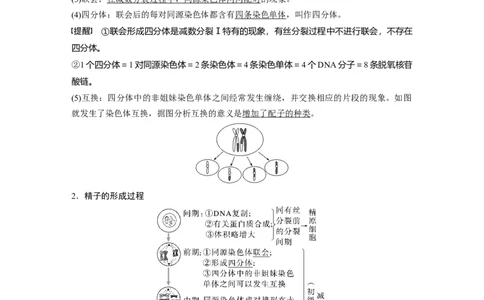 第四单元　第21课时　减数分裂和受精作用_2025年新高考资料_一轮复习_2025大一轮复习讲义+课件（完结）_2025大一轮复习讲义生物教师用书Word版文档整书_配套Word版文档第三~六单元