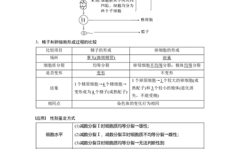 第四单元　第21课时　减数分裂和受精作用_2025年新高考资料_一轮复习_2025大一轮复习讲义+课件（完结）_2025大一轮复习讲义生物教师用书Word版文档整书_配套Word版文档第三~六单元