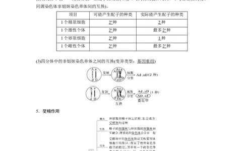 第四单元　第21课时　减数分裂和受精作用_2025年新高考资料_一轮复习_2025大一轮复习讲义+课件（完结）_2025大一轮复习讲义生物教师用书Word版文档整书_配套Word版文档第三~六单元