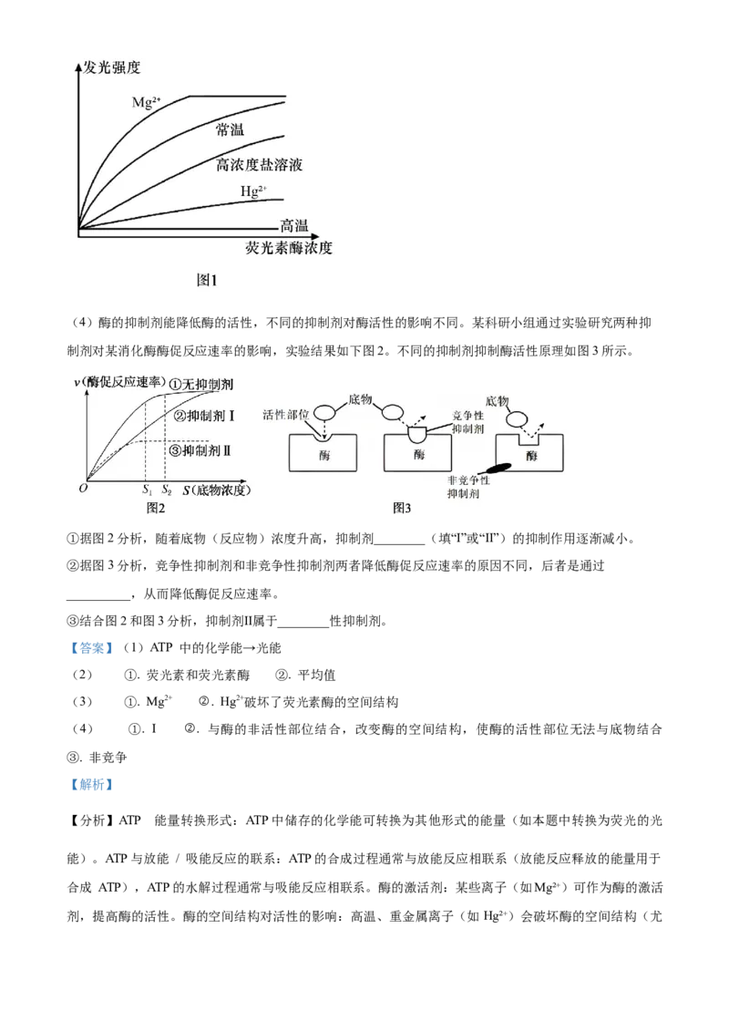 湖北省武昌实验中学2025-2026学年高一上学期十二月月考生物试卷Word版含解析_2026年01月高一试卷_260112湖北省武汉市武昌实验中学2025-2026学年高一上学期12月月考