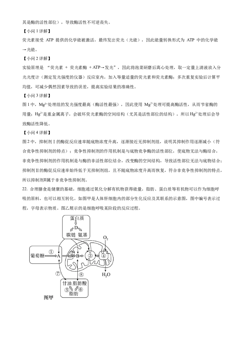 湖北省武昌实验中学2025-2026学年高一上学期十二月月考生物试卷Word版含解析_2026年01月高一试卷_260112湖北省武汉市武昌实验中学2025-2026学年高一上学期12月月考