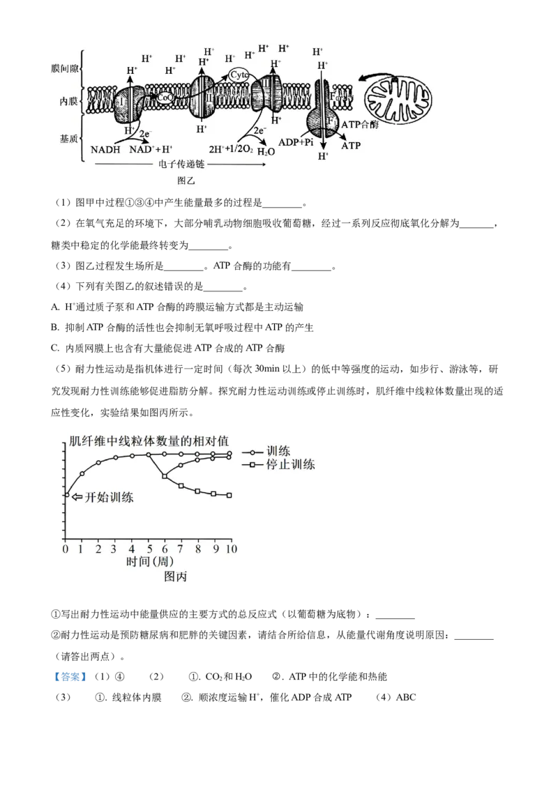 湖北省武昌实验中学2025-2026学年高一上学期十二月月考生物试卷Word版含解析_2026年01月高一试卷_260112湖北省武汉市武昌实验中学2025-2026学年高一上学期12月月考