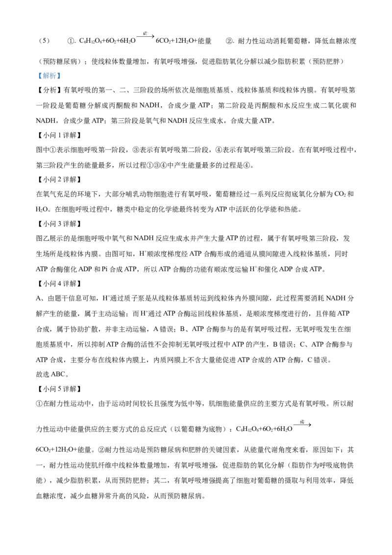 湖北省武昌实验中学2025-2026学年高一上学期十二月月考生物试卷Word版含解析_2026年01月高一试卷_260112湖北省武汉市武昌实验中学2025-2026学年高一上学期12月月考