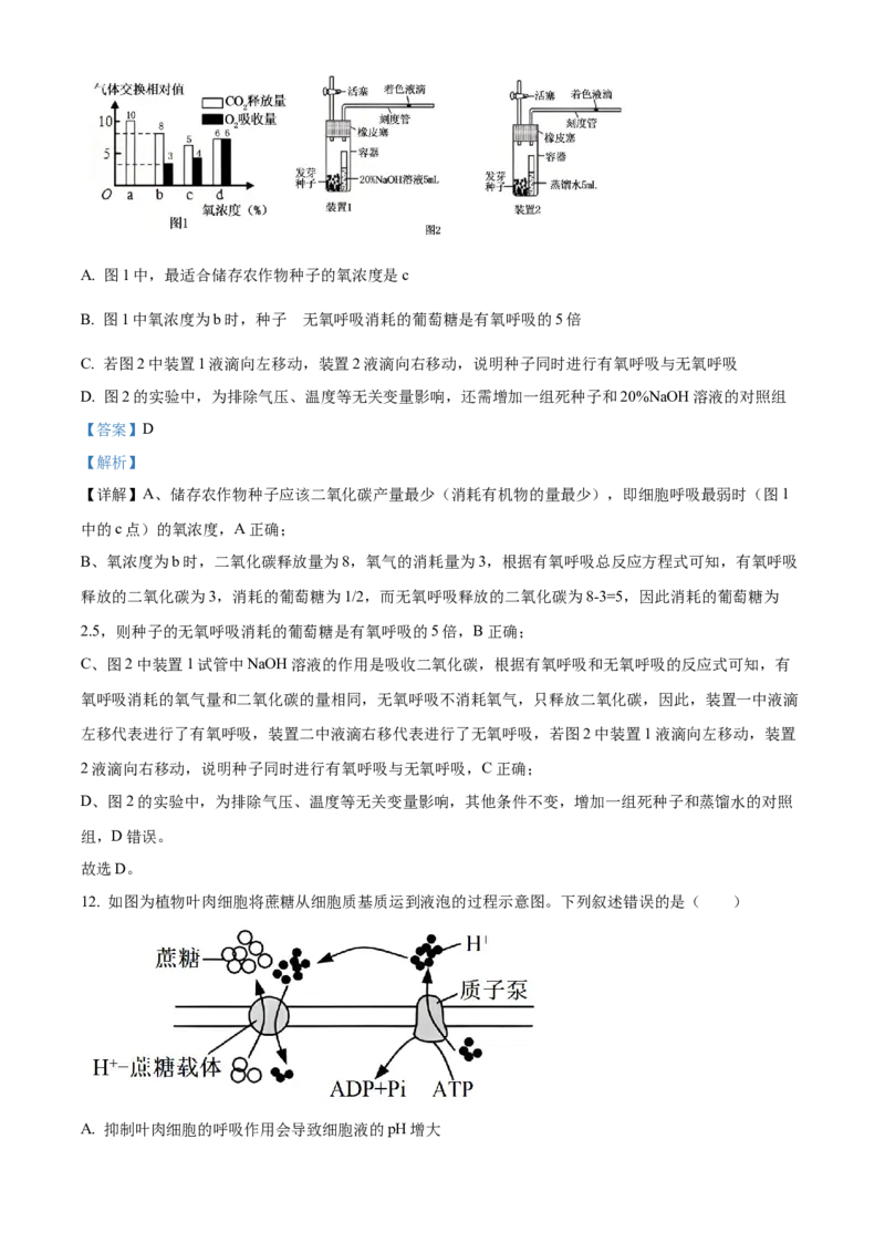 湖北省武昌实验中学2025-2026学年高一上学期十二月月考生物试卷Word版含解析_2026年01月高一试卷_260112湖北省武汉市武昌实验中学2025-2026学年高一上学期12月月考