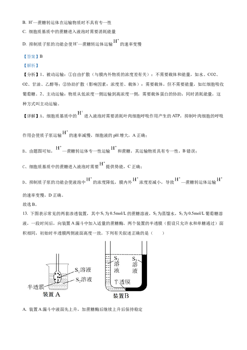 湖北省武昌实验中学2025-2026学年高一上学期十二月月考生物试卷Word版含解析_2026年01月高一试卷_260112湖北省武汉市武昌实验中学2025-2026学年高一上学期12月月考