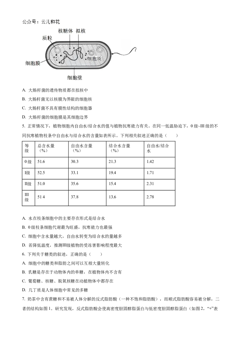 河南省九师联考2024-2025学年高一上学期11月期中生物试题Word版无答案_2024年12月试卷_1203河南省九师联考2024-2025学年高一上学期11月期中考试