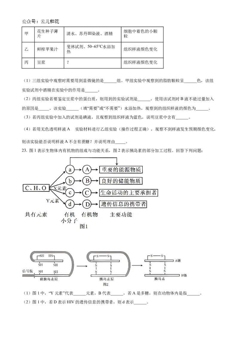 河南省九师联考2024-2025学年高一上学期11月期中生物试题Word版无答案_2024年12月试卷_1203河南省九师联考2024-2025学年高一上学期11月期中考试