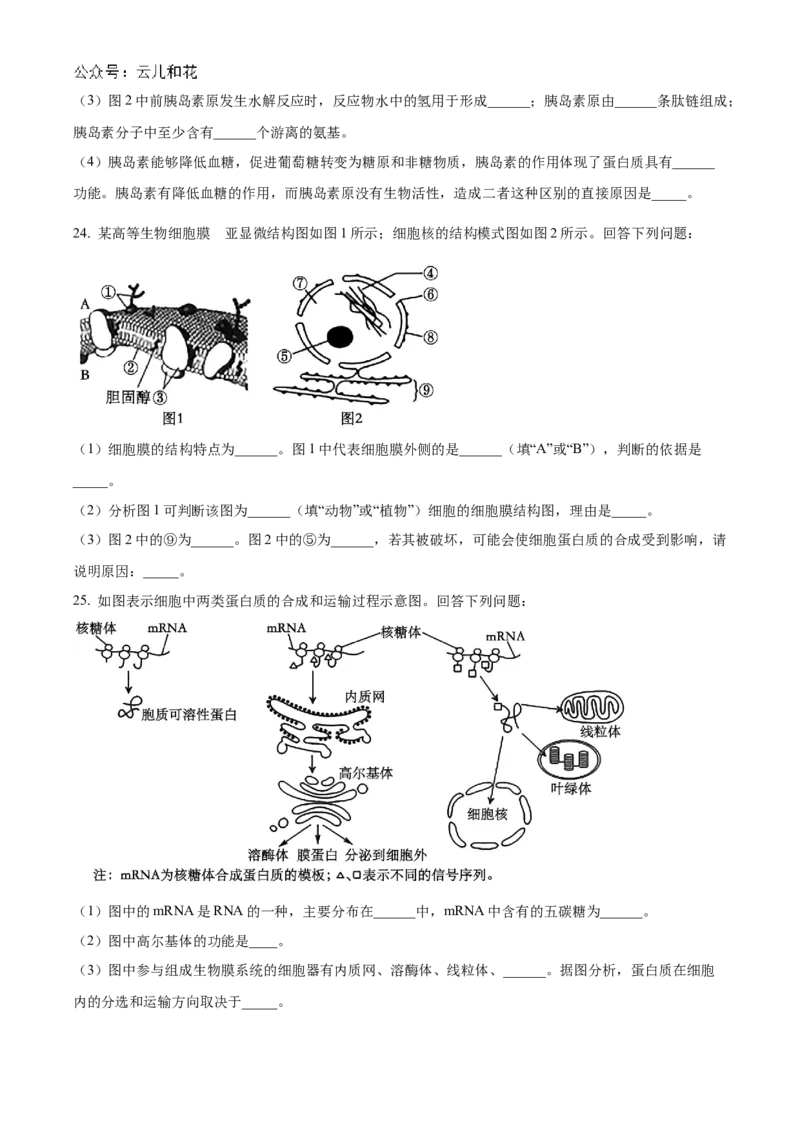 河南省九师联考2024-2025学年高一上学期11月期中生物试题Word版无答案_2024年12月试卷_1203河南省九师联考2024-2025学年高一上学期11月期中考试