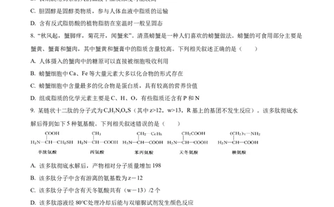 河南省九师联考2024-2025学年高一上学期11月期中生物试题Word版无答案_2024年12月试卷_1203河南省九师联考2024-2025学年高一上学期11月期中考试