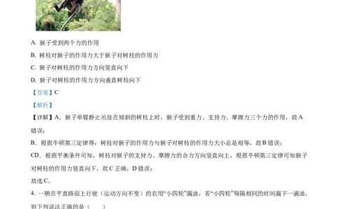 山西省晋城市2024-2025学年高一上学期1月期末物理试题Word版含解析_2025年03月试卷_0312山西省晋城市2024-2025学年高一上学期1月期末考试