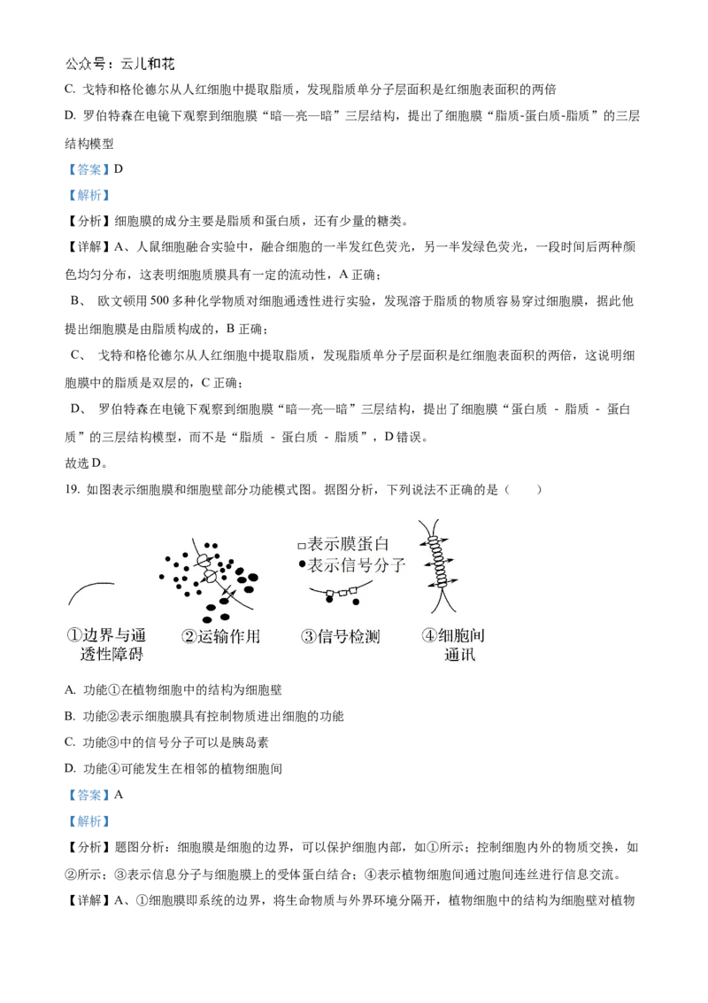 江苏省连云港市东海县2024-2025学年高一上学期期中考试生物试题Word版含解析_2024年12月试卷_1203江苏省连云港市东海县2024-2025学年高一上学期期中考试