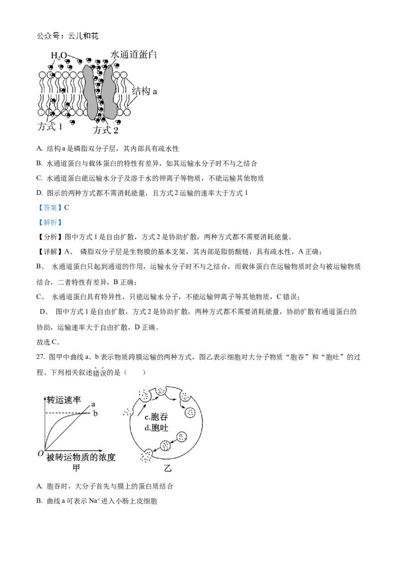 江苏省连云港市东海县2024-2025学年高一上学期期中考试生物试题Word版含解析_2024年12月试卷_1203江苏省连云港市东海县2024-2025学年高一上学期期中考试