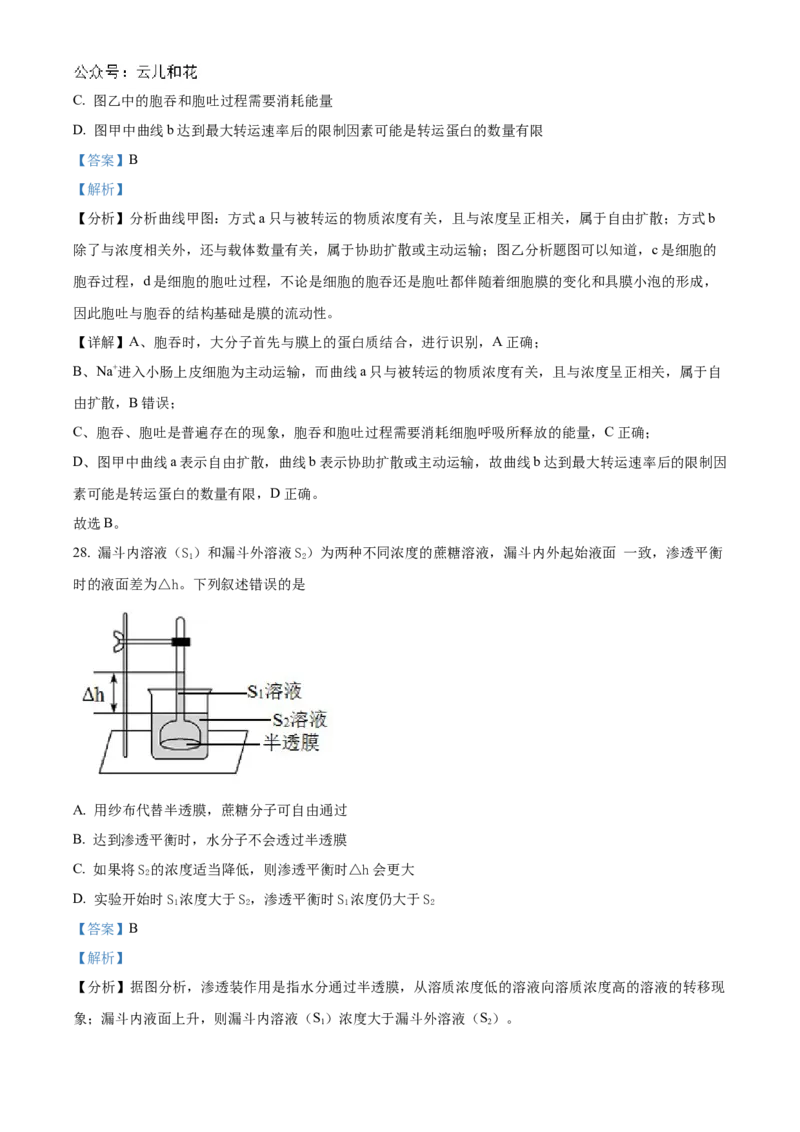 江苏省连云港市东海县2024-2025学年高一上学期期中考试生物试题Word版含解析_2024年12月试卷_1203江苏省连云港市东海县2024-2025学年高一上学期期中考试