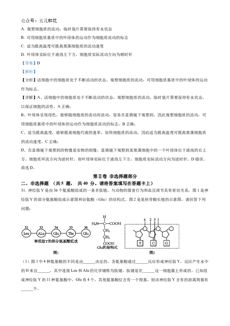 江苏省连云港市东海县2024-2025学年高一上学期期中考试生物试题Word版含解析_2024年12月试卷_1203江苏省连云港市东海县2024-2025学年高一上学期期中考试