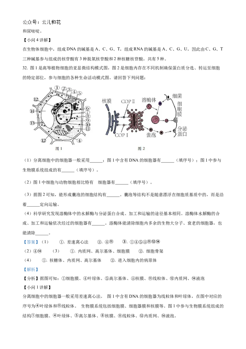江苏省连云港市东海县2024-2025学年高一上学期期中考试生物试题Word版含解析_2024年12月试卷_1203江苏省连云港市东海县2024-2025学年高一上学期期中考试