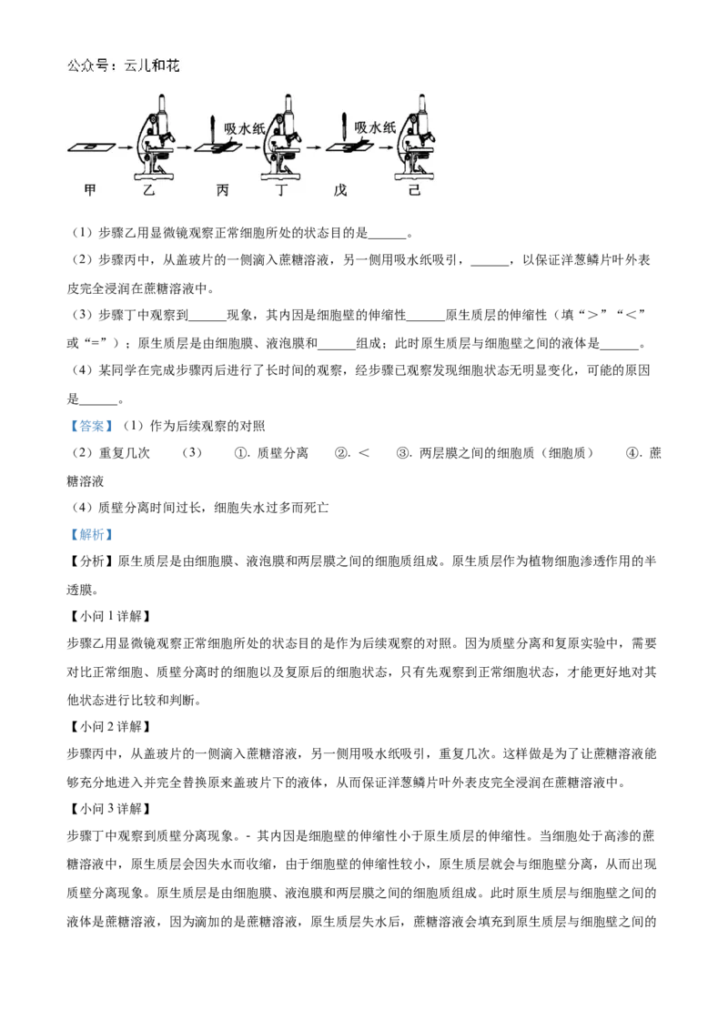 江苏省连云港市东海县2024-2025学年高一上学期期中考试生物试题Word版含解析_2024年12月试卷_1203江苏省连云港市东海县2024-2025学年高一上学期期中考试