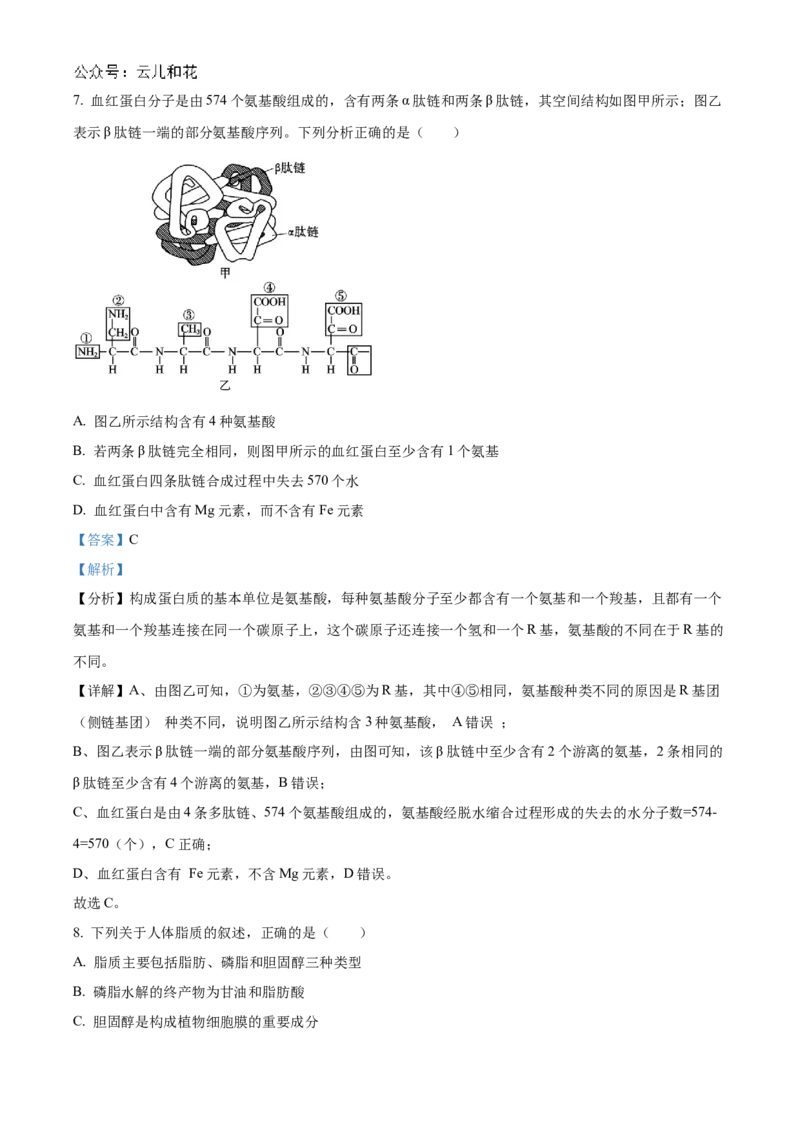 江苏省连云港市东海县2024-2025学年高一上学期期中考试生物试题Word版含解析_2024年12月试卷_1203江苏省连云港市东海县2024-2025学年高一上学期期中考试