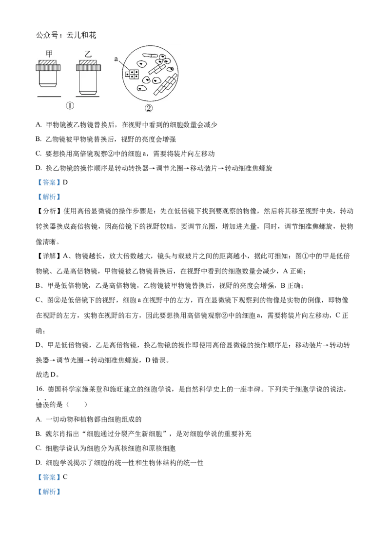 江苏省连云港市东海县2024-2025学年高一上学期期中考试生物试题Word版含解析_2024年12月试卷_1203江苏省连云港市东海县2024-2025学年高一上学期期中考试